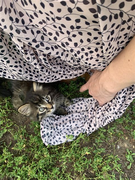 Laura (u/qpassionfruit) - Reddit