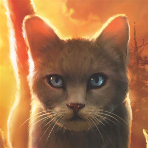 Frostdawn | Warrior Cats