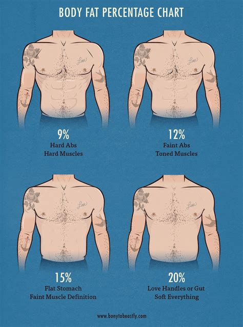 pictures of body fat