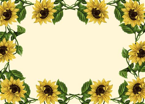 Download Sunflower Border Clipart Wallpaper | Wallpapers.com