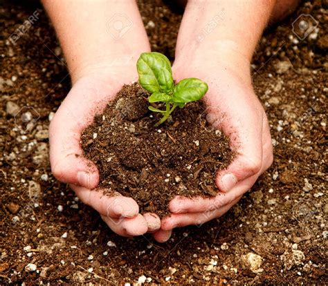 Ontario could take notes from other provinces’ organic regulations ...