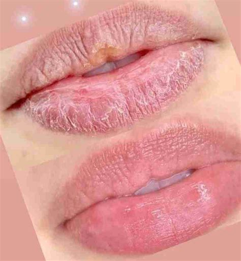 Hydra Lips Gloss - Studio Ensō