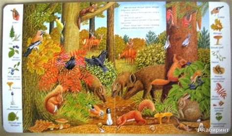 Книга: В лесу - . Купить книгу, читать рецензии | Лабиринт