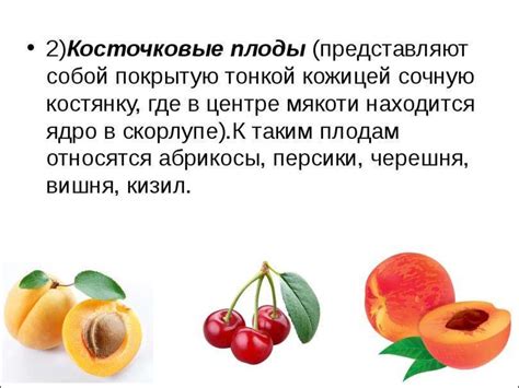 Виды плодов - online presentation
