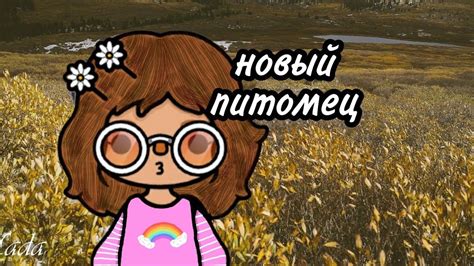 Новый (е) питомец (цы)🐈 - YouTube