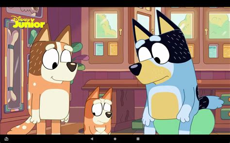 Bingo Had A Chat With Bandit And Chilli by olivergibson1234 on DeviantArt