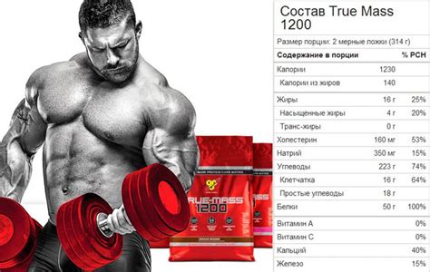 Гейнер True Mass от BSN: как правильно принимать, описание и отзывы