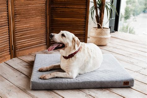 Матрас для собак Noble Pet 120х80х8 см Nolan Графит (N2130/120 ...