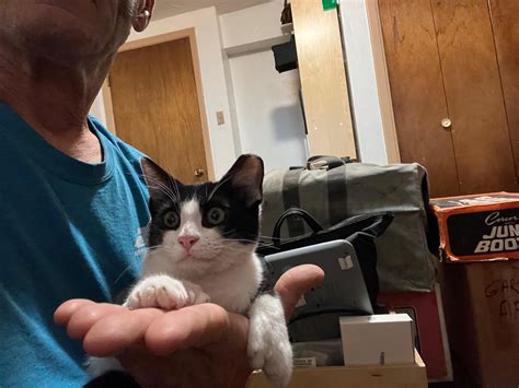 The Kitty Lixos Video Everyone's Talking About (You'll Want To See This
