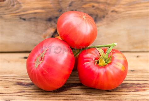ЛОПАТИНСКИЕ — BTomate