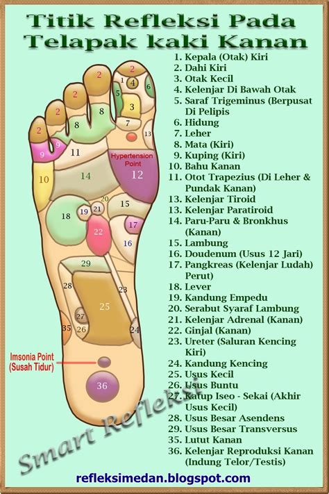 Cara Mengetahui Titik Refleksi Telapak Kaki | Terapi kaki, Sistem tubuh ...