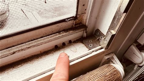 Конденсат на окнах. Потеют окна! Плачут окна. Надежные и проверенный ...