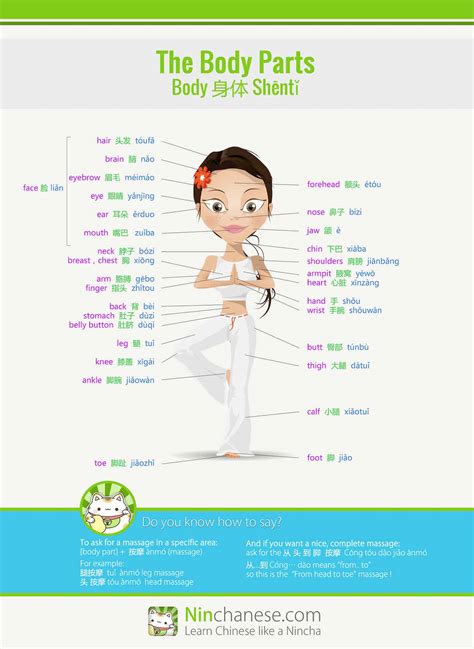 Body parts in Chinese - Infographic! Your key to a perfect massage