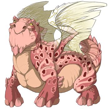 Snapper Dragons - #144116