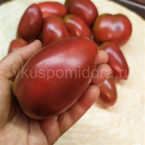 Купить семена томата сорт Гном Альмандин (Dwarf Almandine)