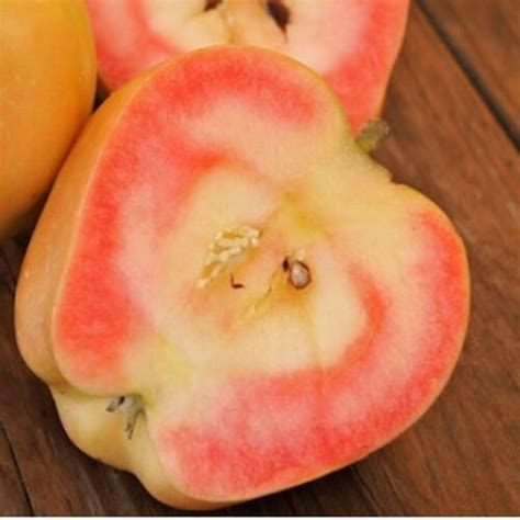 Купить яблоню Розовый жемчуг (Pink Pearl) почтой
