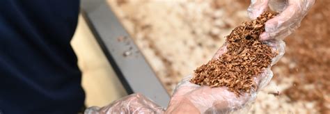 british american tobacco colombia el tabaco