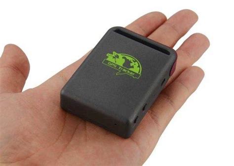 Что такое собачий GPS-трекер и для чего он нужен: обзор лучших навигаторов