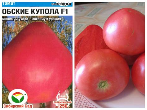 Лучшие ранние сорта томатов для теплицы из поликарбоната
