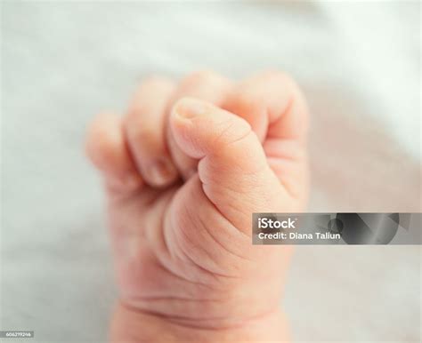 tangan bayi  lahir foto stok  gambar  bayi umur