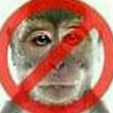 Create meme "boy" - Pictures - Meme-arsenal.com