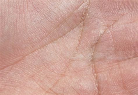 Premium Photo | Hand texture
