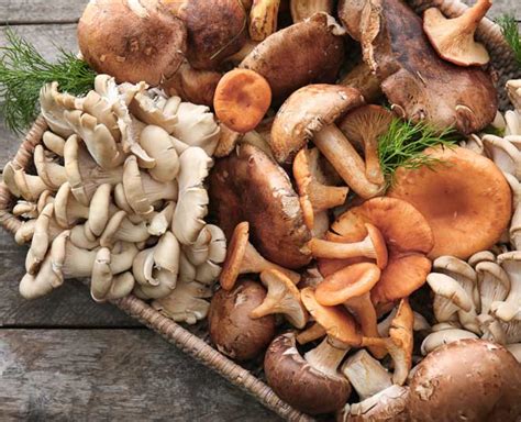 types  mushroom     herzindagi