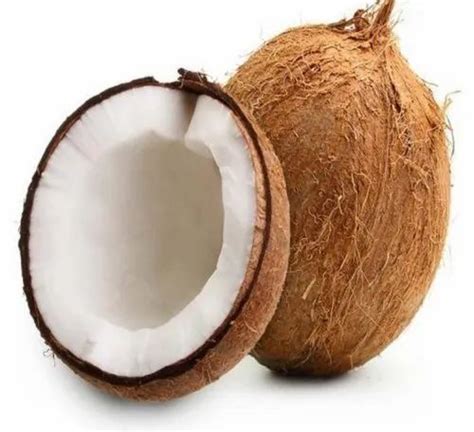 Solid Fresh Coconut at Rs 50/kilogram in Dindigul | ID: 20732424162