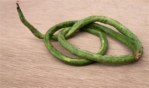 close-up photo of green long bean vegetables 9558651 Stock Photo at