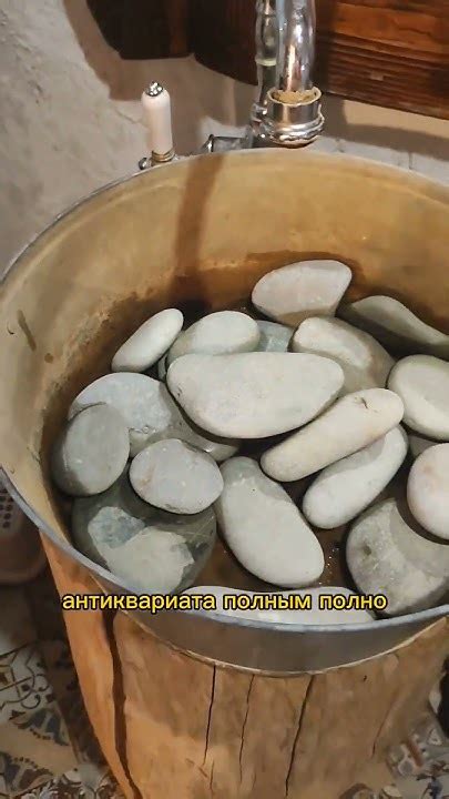 Кафе-музей с минипигами 🐽 #отдых - YouTube