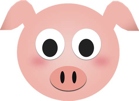 pig drawing pig images pixabay