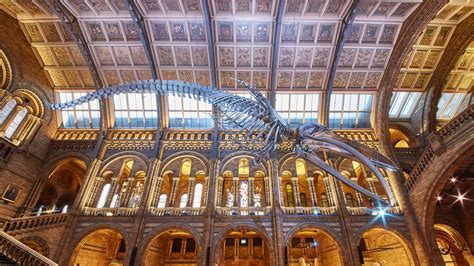 Natural History Museum, London, England, U.K. - Museum Review | Condé ...