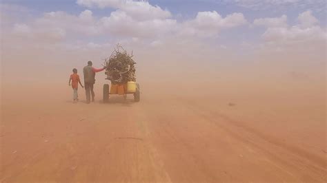 'Human Flow' Trailer: Ai Weiwei Explores The Refugee Crisis