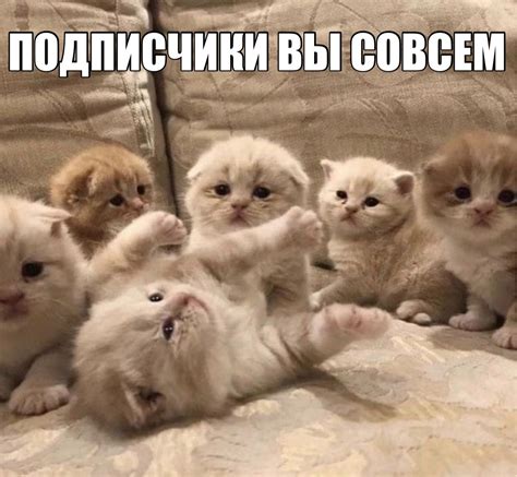 Pin di remoon su картинки с текстом и без | Memi