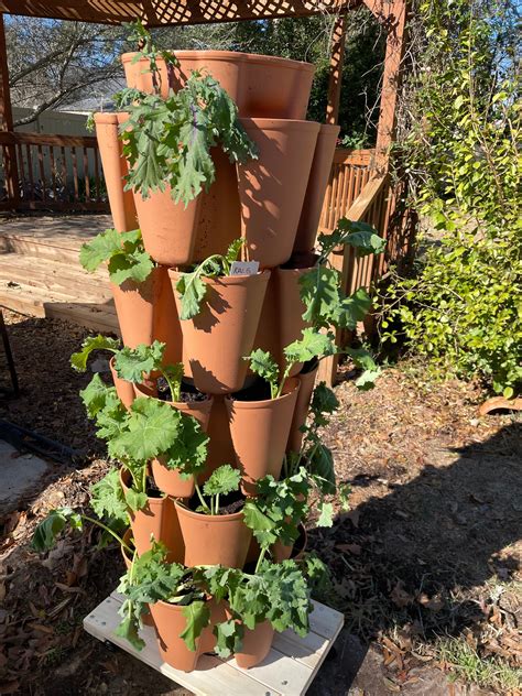 Vertical gardening systems aren't always hydroponic: Try these ideas
