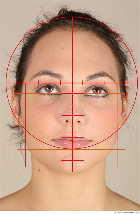 Partes Del Rostro 2