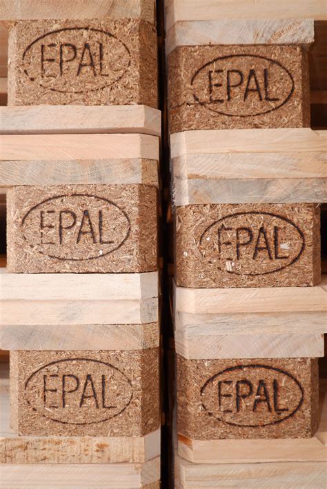 depan pallet euro tren  teknologi evolusi industri