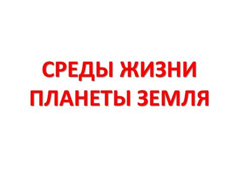 Среды жизни планеты Земля - презентация онлайн