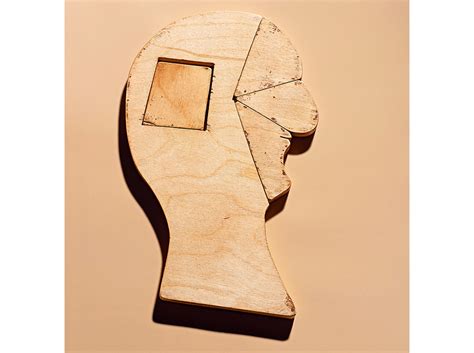 face puzzle  ellis island  julian caro linares