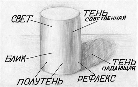 Свет и тень в рисунке: расположение блика, света, рефлекса. Сохрани у ...