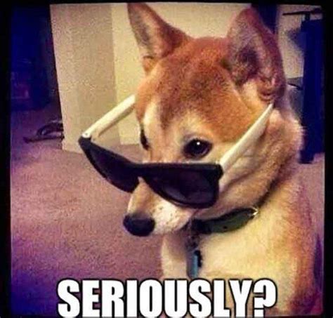 樂 30 Funniest Seriously Meme - Meme Central