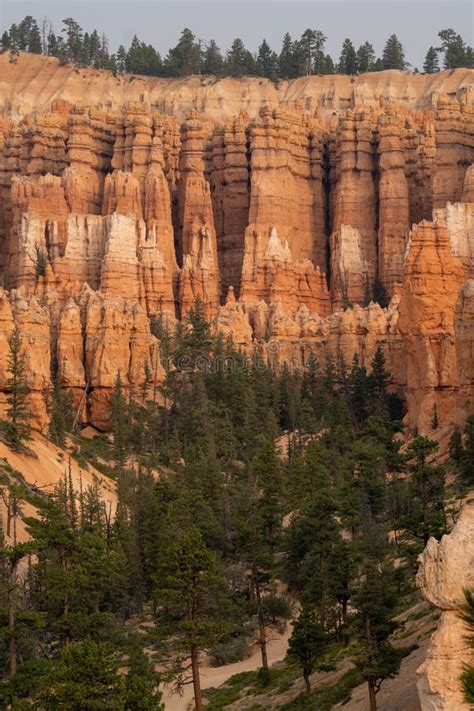 Vertical Shot of Badlands Surrounded by Greenery at the Bryce Canyon ...