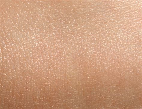 What Is A Normal Skin Type? Key Characteristics – Prequel