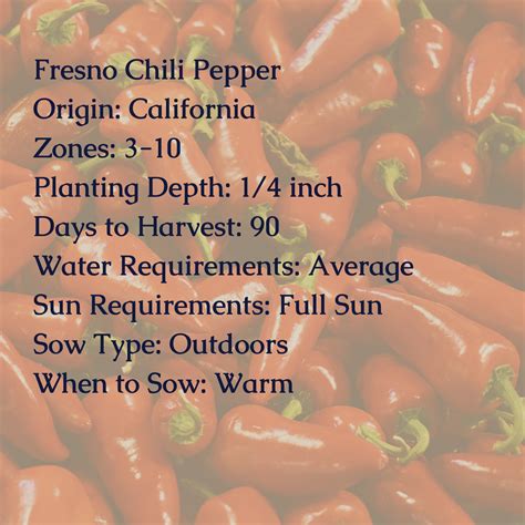 Fresno Chili Pepper Seeds – My Health Forward