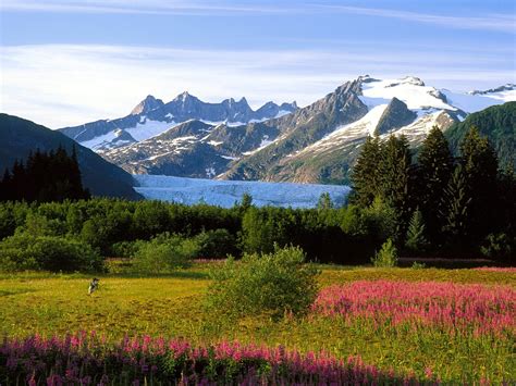 The Magnificence of Alaska | Journeys Viaggio
