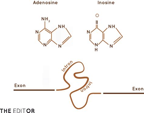 RNA History « RNA Biology