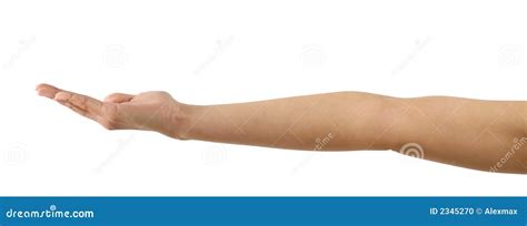 outstretched arm stock photo image