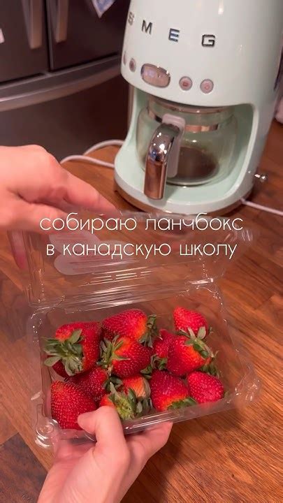 ЛАНЧБОКС В ШКОЛУ 🇨🇦 - YouTube