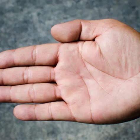 palmistry meaning   palms money  divine talk