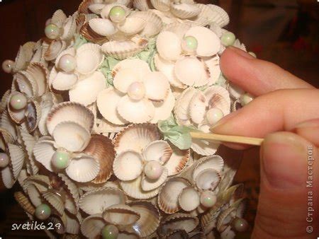 Ракушки и что из них можно сделать